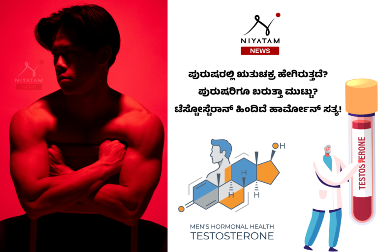 Male Testosterone